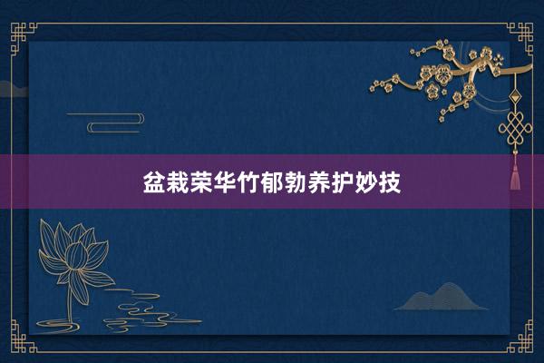 盆栽荣华竹郁勃养护妙技